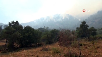 Orman yangını 6 saattir devam ediyor