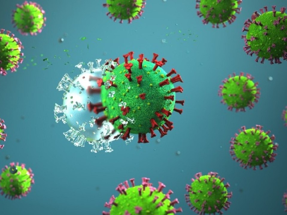 Vietnam: Neue hochansteckende Mutation des Coronavirus entdeckt