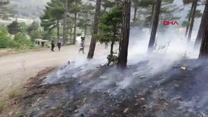 Son dakika haberleri: POZANTI'DA ORMAN YANGINI; EKİPLER MÜDAHALEYE BAŞLADI