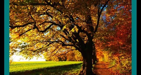 Earth and every one of them is unique