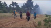 Son dakika! Adana'nın Pozantı ilçesinde orman yangını çıktı