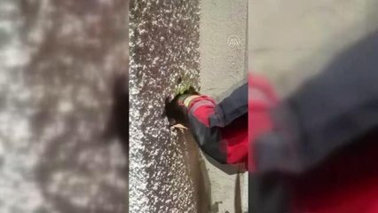 Baca içerisine düşen kedi yavrusu kurtarıldı