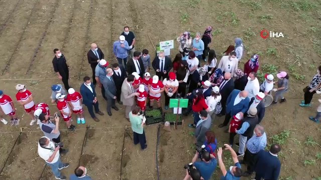 'Aronya' bitkisi üretimi yaygınlaştırılacak