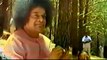 A Rare And Delightful Video Young Sri Sathya Sai Baba | Sai Darshan | Sathya Sai Baba Blessings