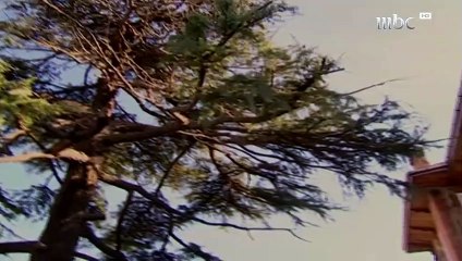 مسلسل ياسمين الحلقة 27