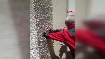 MUĞLA Bacaya düşen yavru kediyi itfaiye kurtardı