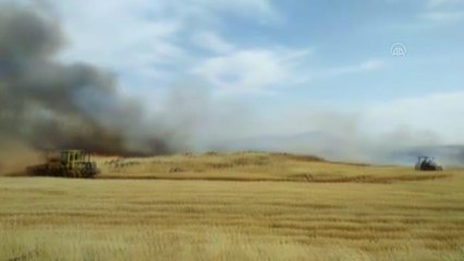 Son dakika gündem: GAZİANTEP - Buğday ekili tarlalarda yangın çıktı