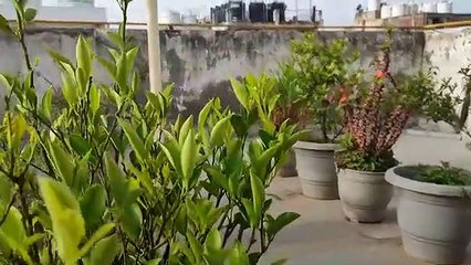 10 AMAZING TIPS TO BE PRODUCTIVE EVERYDAY  AIIMS DELHI VLOG