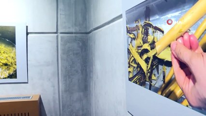 Emine Erdoğan, Kitaplar ve Kağıtlar Sergisi’nin açılışını gerçekleştirdi