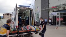 BURSA Tarlaya uçan otomobilin sürücüsü Başhekim, yaralandı