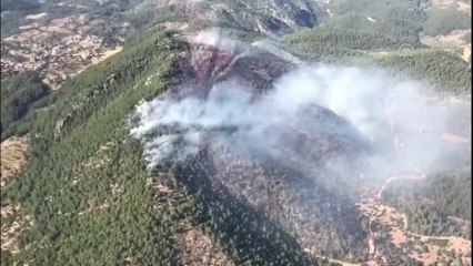 MUĞLA - Milas'ta ormanlık alandaki yangın kontrol altına alındı