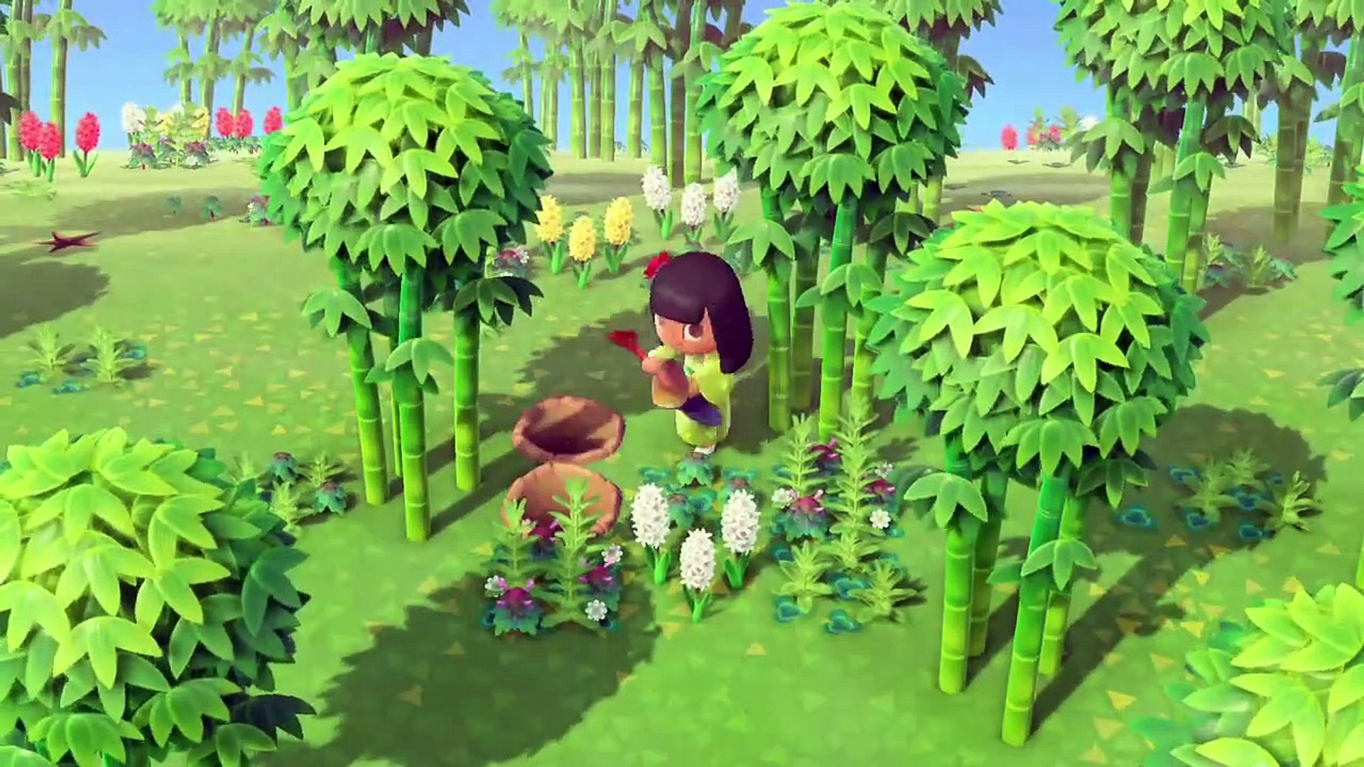 Planter Du Bambou Sur Son Île | Animal Crossing New Horizons - video  Dailymotion