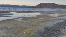 Son dakika... Salda Gölü'ndeki değişimin nedeni mevsimsel polenler