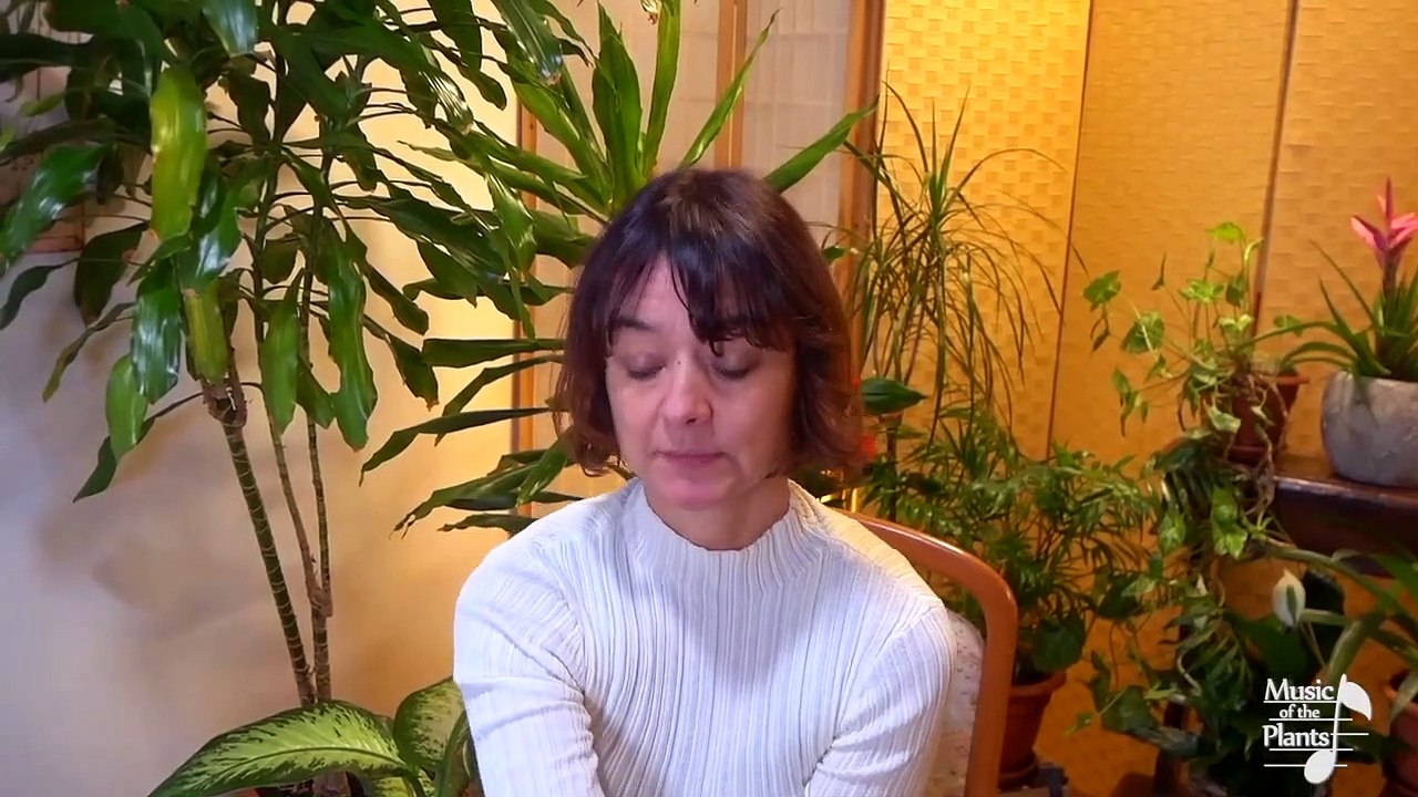 Music Of The Plants - How To Use Bamboo M, The Instrument That Gives A Voice To Plants! Tutorial