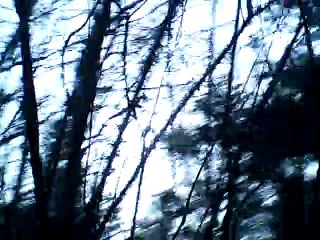 Au joly bois 3rd voice