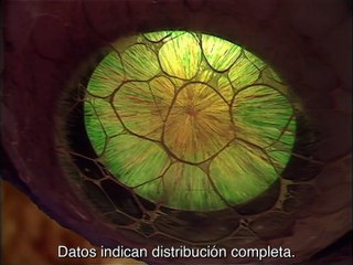 Doctor Who clásico Temporada 8 episodio 14 "The Claws of Axos part 4" (subtítulos en español)