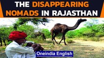 Rajasthan: Century-old nomadic communities on the verge of extinction | Watch | Oneindia News