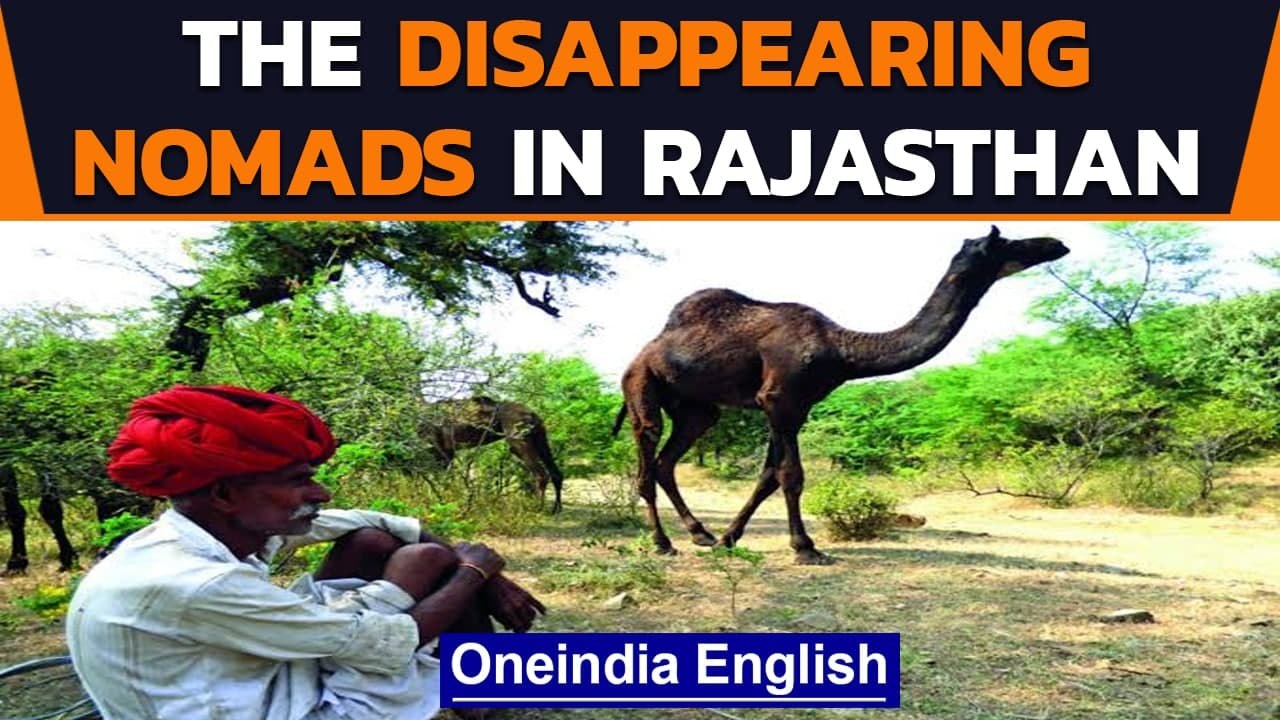 Rajasthan: Century-old nomadic communities on the verge of extinction | Watch | Oneindia News