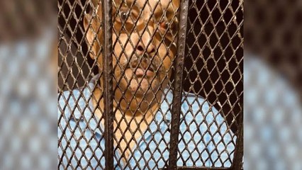 EXCLUSIVE pictures of Mehul Choksi, injury marks on body