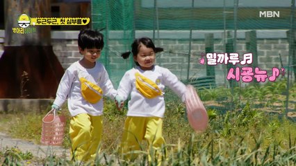 채윤과 로운의 인생 첫 심부름! 근데 로운이는 태주 관장님 없으면 안돼!ㅠ