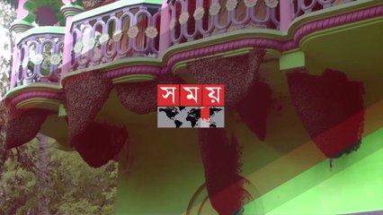 Exclusive- ৭ বছর ধরে একই বাসায় মৌমাছির সাথে সংসার! - Honey Bees - Somo Exclusive