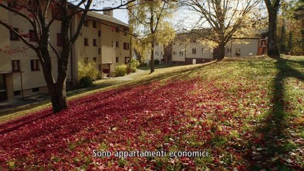 PICCOLO MONDO Kleine Heimat Film