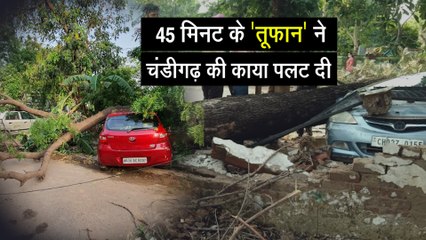 चंडीगढ़ में 80-100 किमी प्रतिघंटा की रफ्तार से तूफान, पेड़-खंभे उखड़े, बिजली गुल
