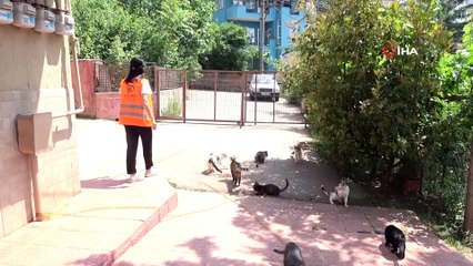 Hayvansever kadın, sokakta bulduğu engelli hayvanlara annelik yapıyor