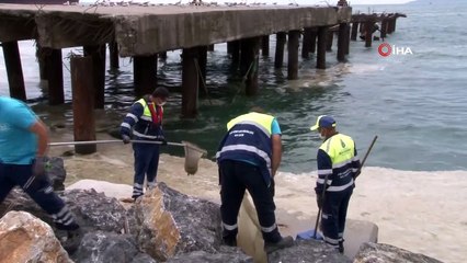 Kartal sahilleri deniz salyasından temizleniyor