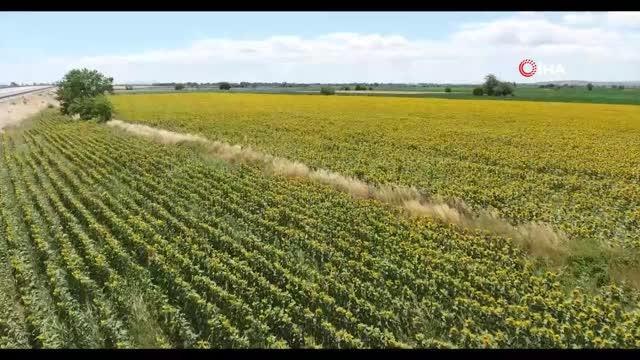 Çukurova'da sarı gelin görsel şölen sunuyor