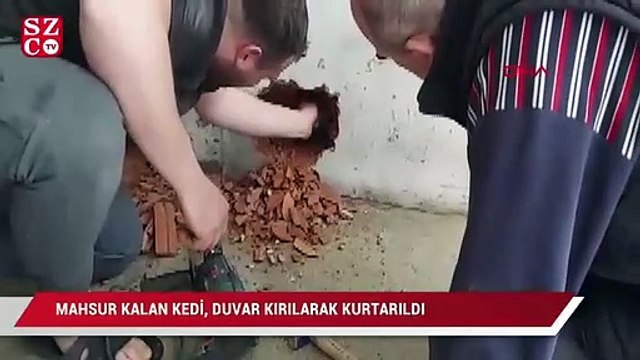 Mahsur kalan kedi, duvar kırılarak kurtarıldı