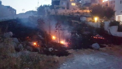 Bodrum'a kabusu yaşatan yangınların kasıtlı çıkartıldığı iddia edildi