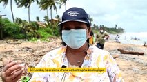 Sri Lanka : la crainte d'une catastrophe écologique après l'incendie d'un porte-containeurs