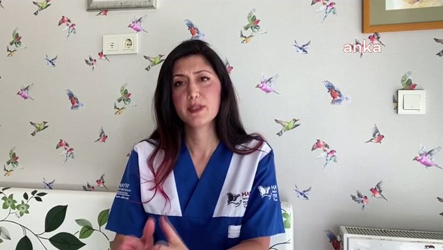 Hayvan Hakları Federasyonu Ankara Temsilcisi Pelin Sayılgan: Maalesef 5199 sayılı kanun, hayvanları koruyamıyor