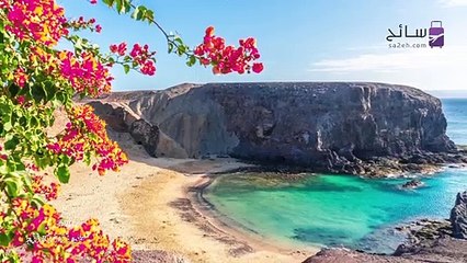 حقائق حول جزر الكناري: اسمها الجميل مستوحى من حيوانات الفقمة