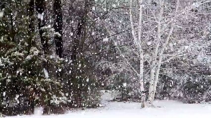 falling snow