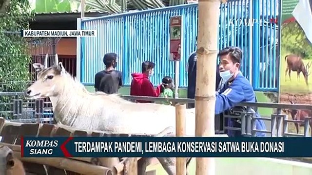 Terdampak Pandemi, Lembaga Konservasi Satwa Umbul Square Buka Donasi