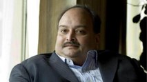 India sends private jet to Dominica to bring Choksi back