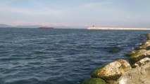 BALIKESİR - Güney Marmara sahilini kaplayan deniz salyası rüzgarın etkisiyle dağılmaya başladı