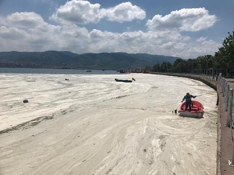 İZMİT KÖRFEZİ YENİDEN DENİZ SALYASI İLE KAPLANDI