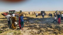 MARDİN'DE 50 DÖNÜM ALANDA EKİLİ BUĞDAY YANDI