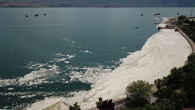 İzmit Körfezi yeniden deniz salyası ile kaplandı