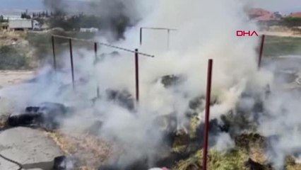 BURDUR 1000 BALYA SAMAN YANDI