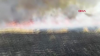 MANİSA BİÇERDÖVERDEN ÇIKAN KIVILCIMLA 250 DÖNÜM EKİLİ ALAN YANDI