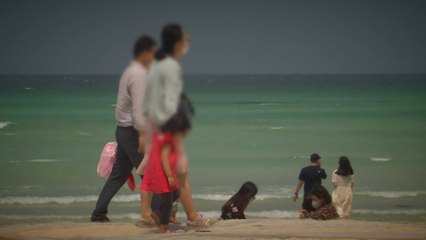 1인 가구만 30%...20대 절반 넘게 "비혼 독신·무자녀 동의" / YTN