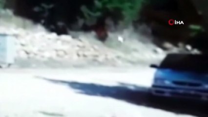 Antalya'da feci ölüm... Ailesine yardıma geldi, traktörün altında böyle kaldı