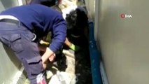 Konteynerde sıkışan yavru kedi itfaiye ekipleri tarafından kurtarıldı