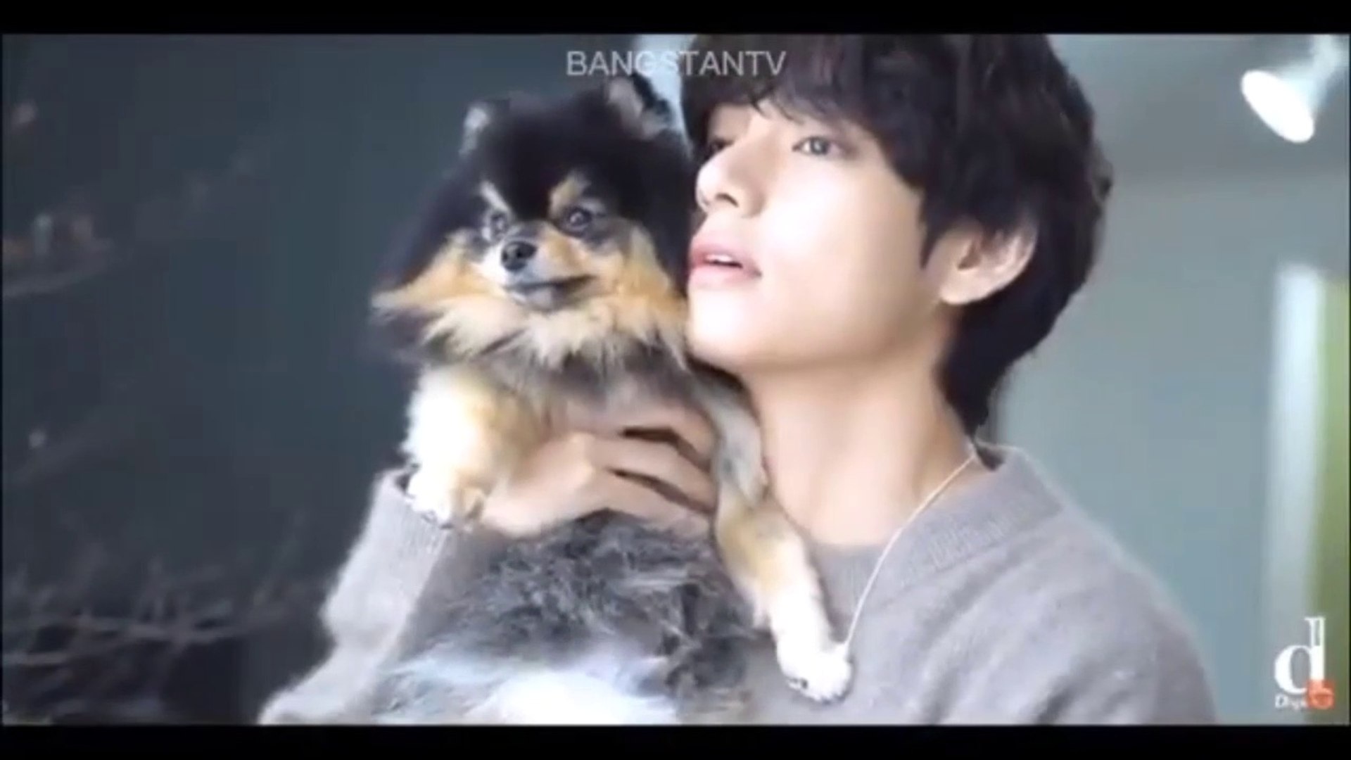 BTS V and YEONTAN Part 5! - video Dailymotion