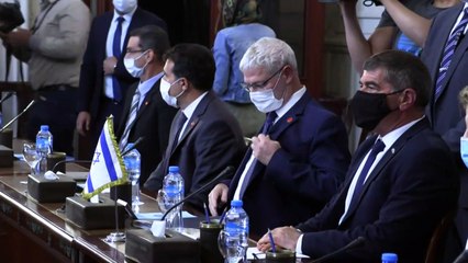 وزير الخارجية الإسرائيلي في القاهرة يبحث "آليات التهدئة في غزة"