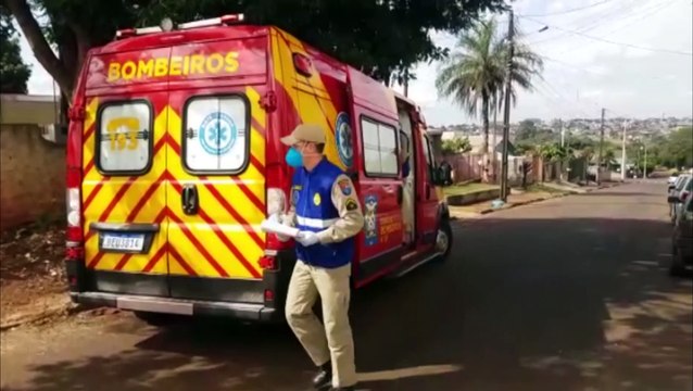 Cachorro ataca homens no Interlagos e idoso fica ferido